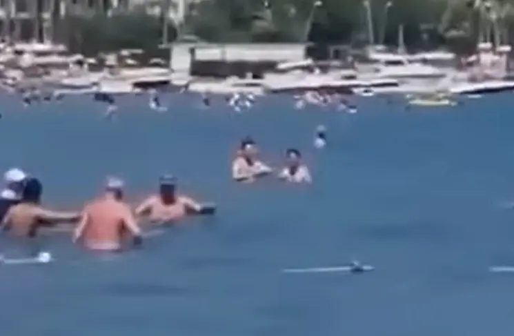 Хаос на позната плажа во Турција: Ајкула кружи околу пливачи во плиткото (ВИДЕО)