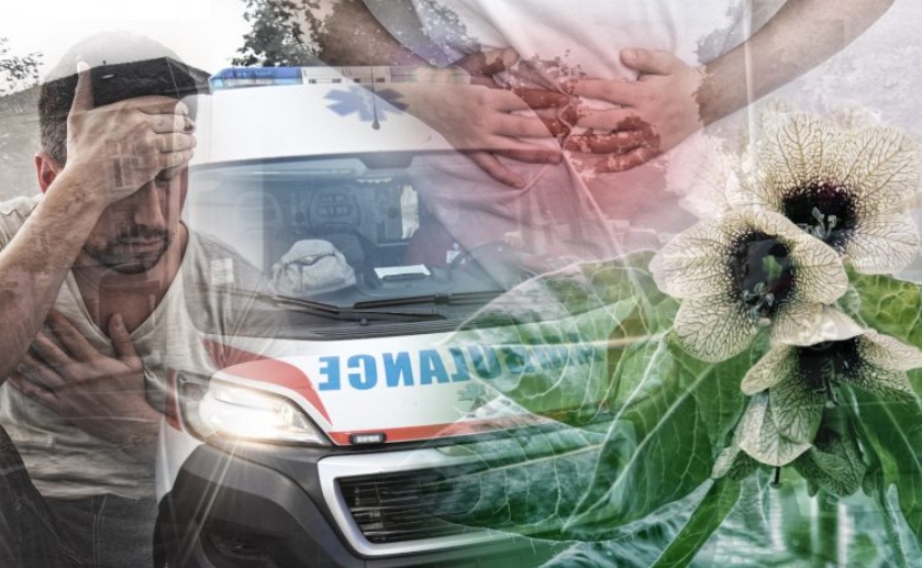 ВНИМАВАЈТЕ: Татко (34) и две деца во Србија хоспитализирани поради труење со оваа билка