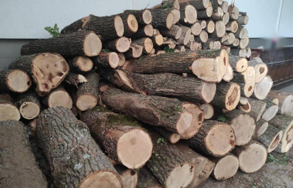Еве колкава е цената на кубик дрва во Србија: Ми наплати за 5,5 метри, кога дојдоа сечачите ми кажаа дека сум измамена!