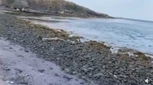 Погледнете како морето се повлече за 5 метри пред невремето во Бугарија: Природен феномен кој ја најави бурата (ВИДЕО)