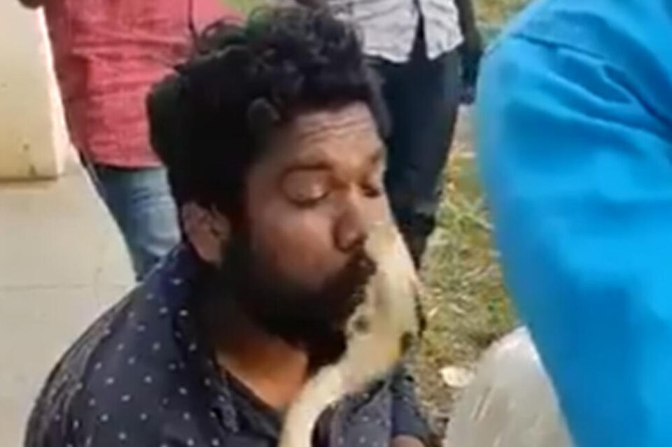 ВИДЕО: Индиец се обиде да бакне кобра, едно движење беше ФАТАЛНО- еве како заврши