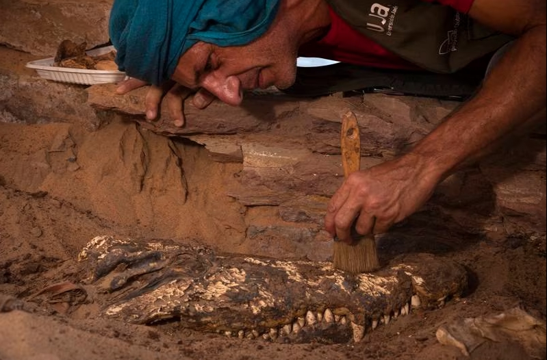 (фото) Неверојатно откритие го обиколи светот: Во Египет пронајдена гробница на мумифицирани крокодили