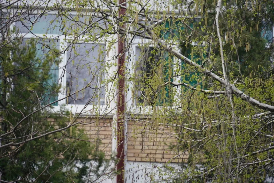 (фото) СЕ СЛУЧИ СТРАШНА ТРАГЕДИЈА: Осмооделенец скокна низ прозорец и загина на лице место во соседна Србија