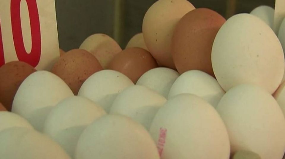 ТЕЛМА ДОЗНАВА: Од понеделник замрзнуваат јајцата- ќе се замрзне цената по која јајцата во моментов се продаваат!